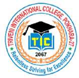 Triveni International College