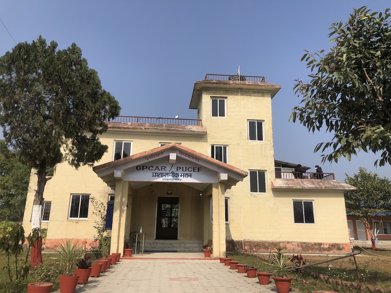 G.P. Koirala College of Agriculture & Research Centre (GPCAR)