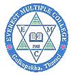 Everest Multiple College Thamel