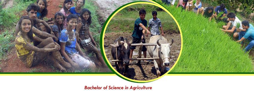 Midwest Academy and Research Institute College of Life Science