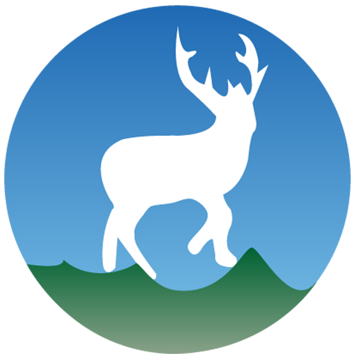Deerwalk Institute of Technology