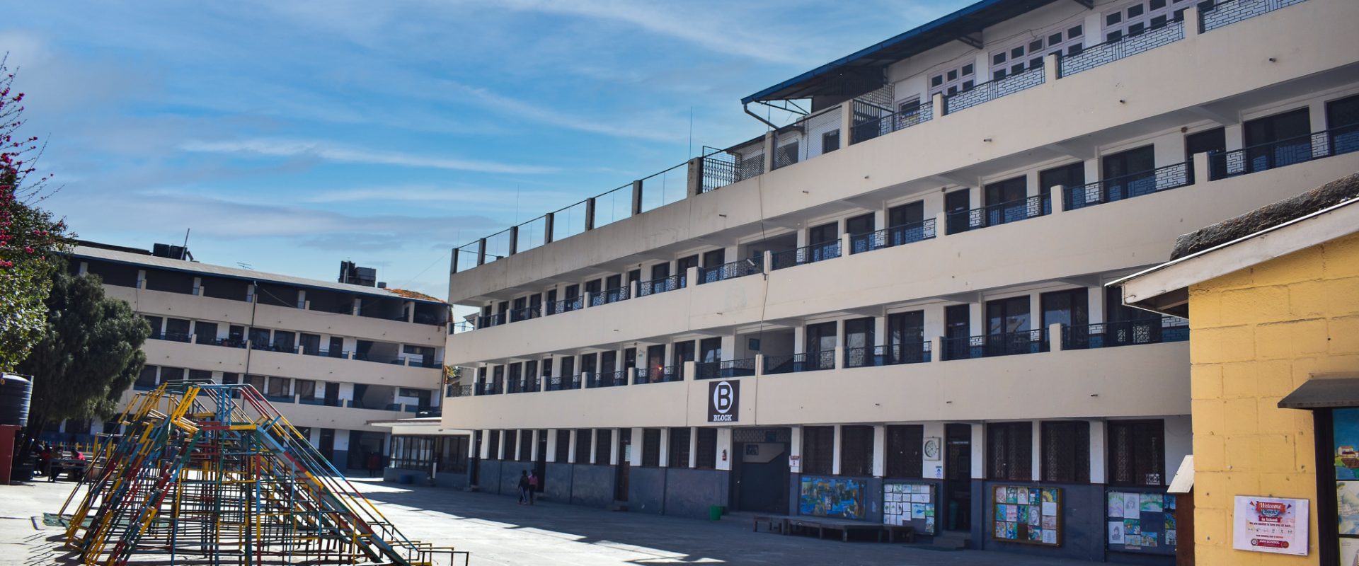AVM School